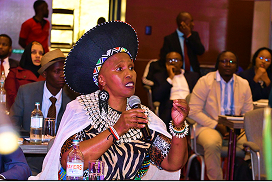 MPs Leading The Fight Against Illicit Financial Flows