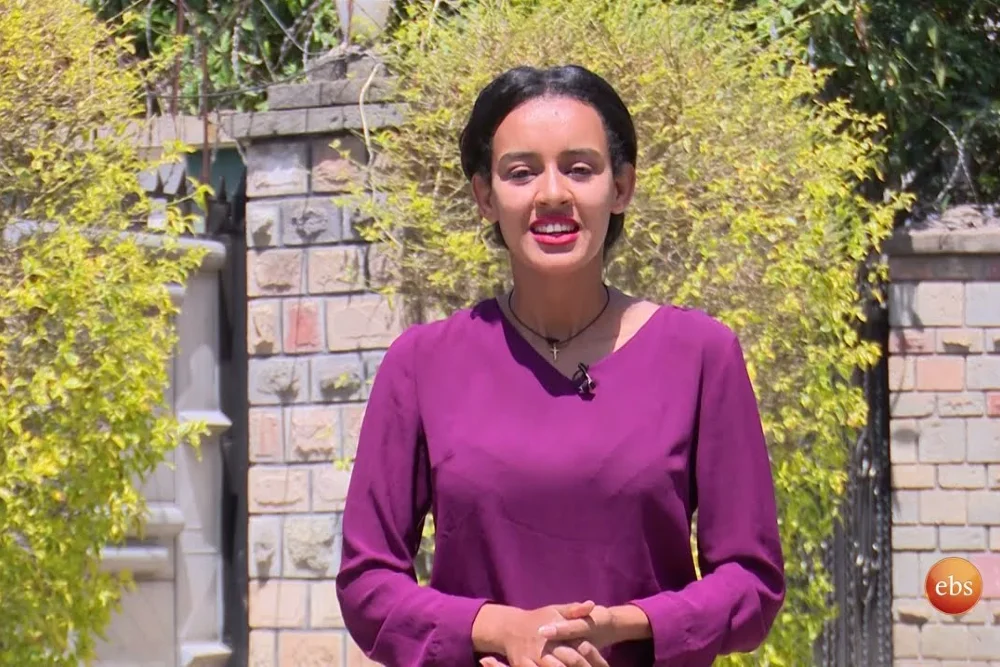 Aflatoun Program Enhances Social and Financial Education for School Children in Addis Ababa