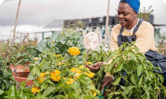 Women & Technology— Empowering Technology Adoption