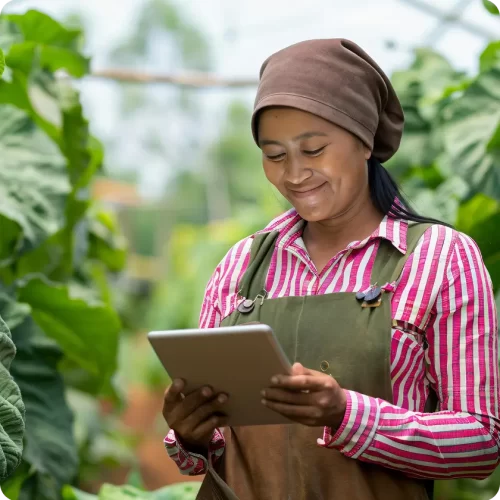 Women In Coffee in Ethiopia