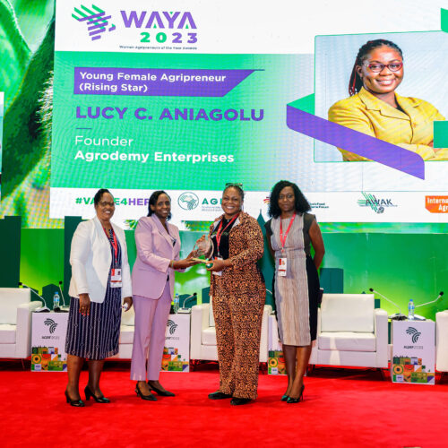 Lucy Chioma Aniagolu, Nigeria